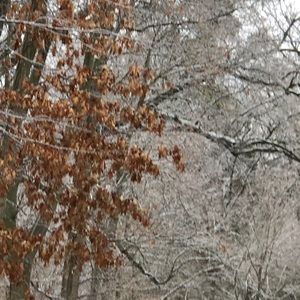 Meet your Posher, Glenn